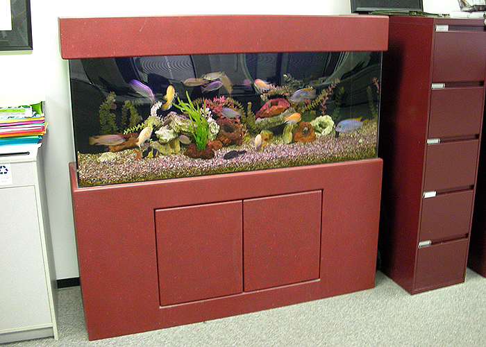 tropical fish tanks